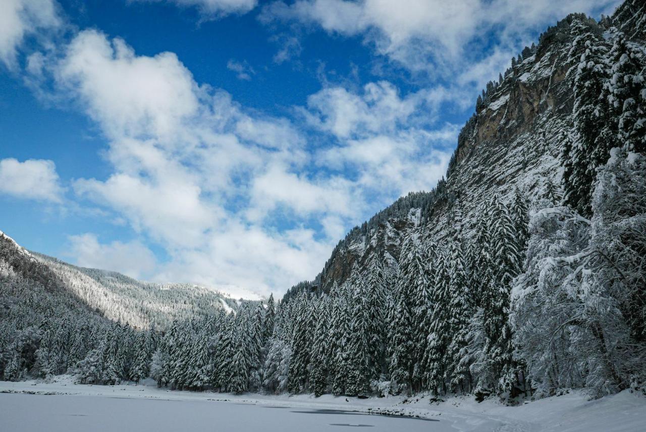 Hotel Du Lac Montriond Exteriér fotografie